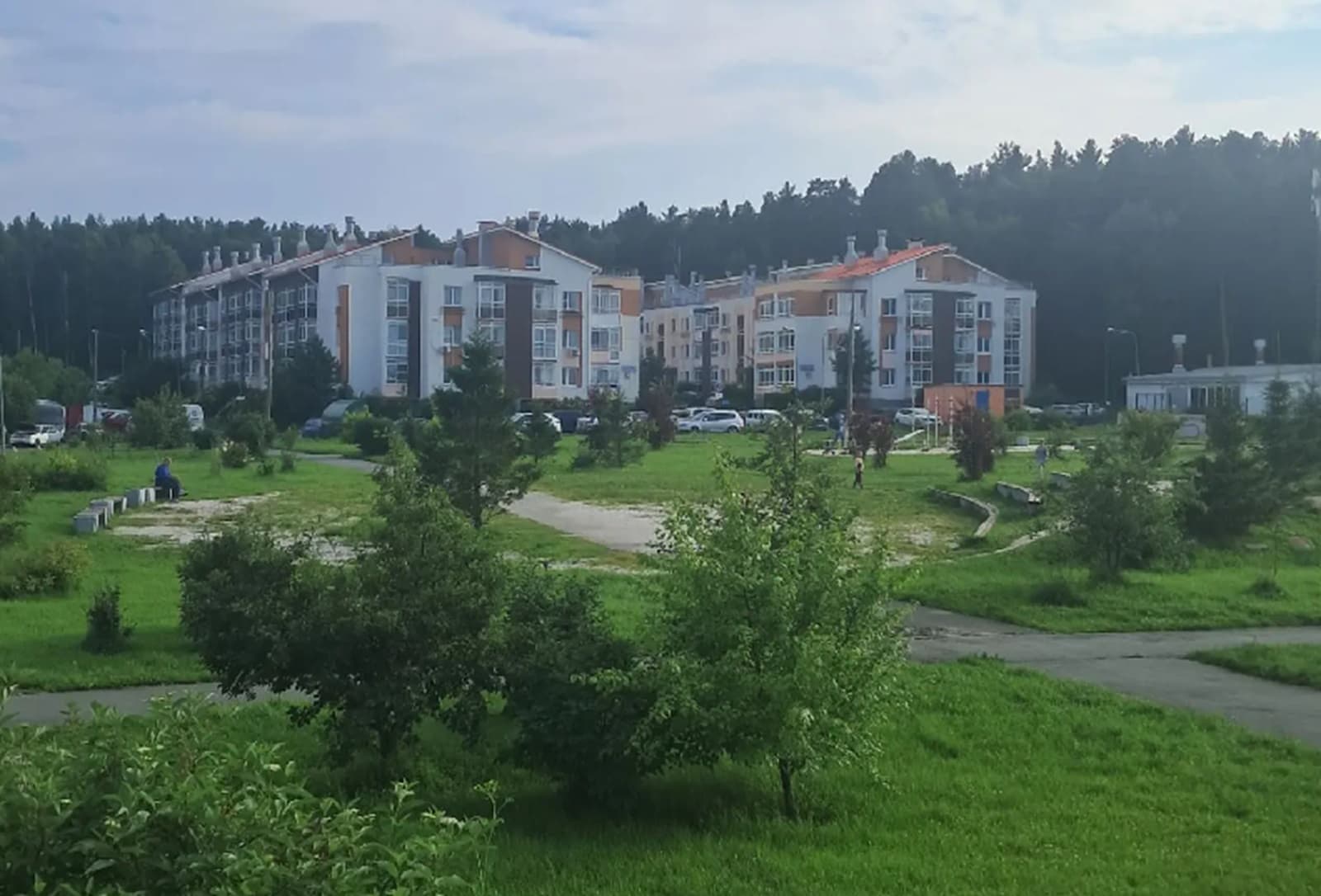 Медведей заметили в Екатеринбурге и возле Березовского